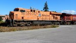 CP 8781